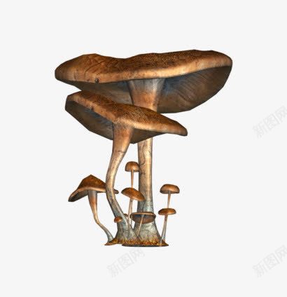 蘑菇形状png免抠素材_新图网 https://ixintu.com 卡通 形状素材 素材 蘑菇素材