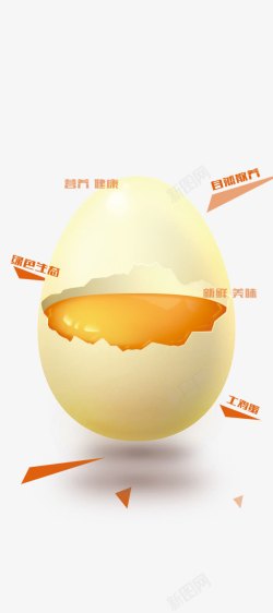 鸡蛋营养素材