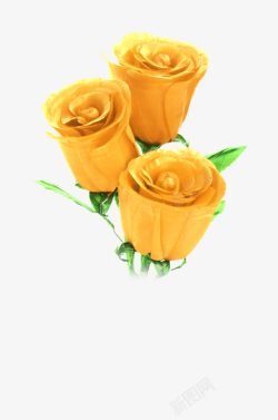 黄色玫瑰花朵素材