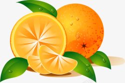 手绘橙子水果新鲜素材