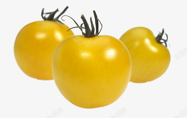 三个黄色番茄png免抠素材_新图网 https://ixintu.com 新鲜西红柿 熟番茄 黄番茄 黄色西红柿