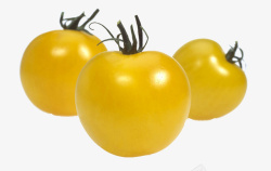 三个黄色番茄素材