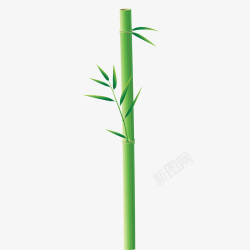 竹杆绿色笔直素材
