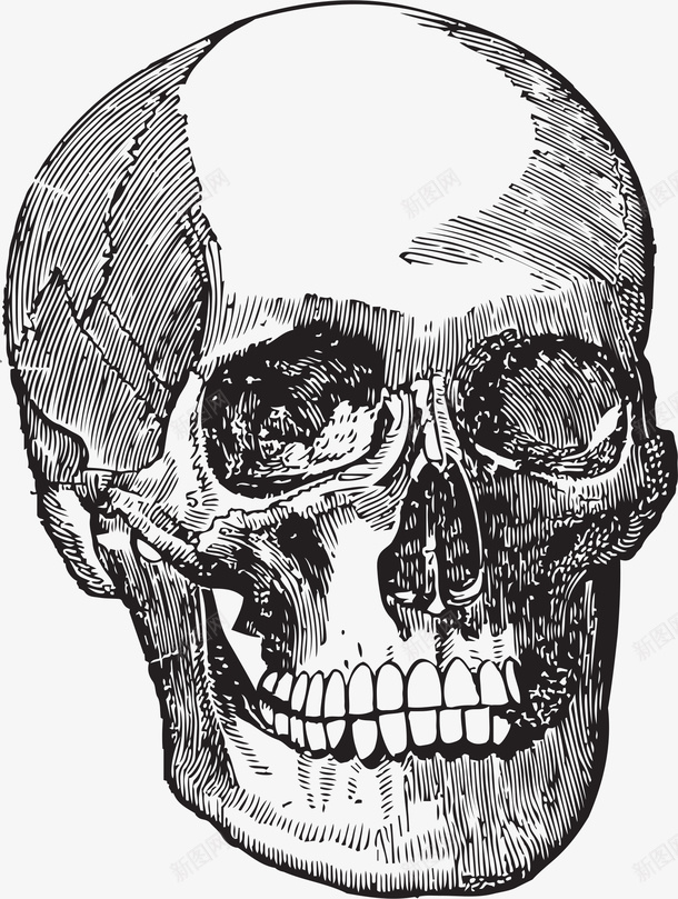 手绘头骨png免抠素材_新图网 https://ixintu.com 人 卡通 头骨 手绘 牙齿 眼眶 简图 黑色 鼻孔