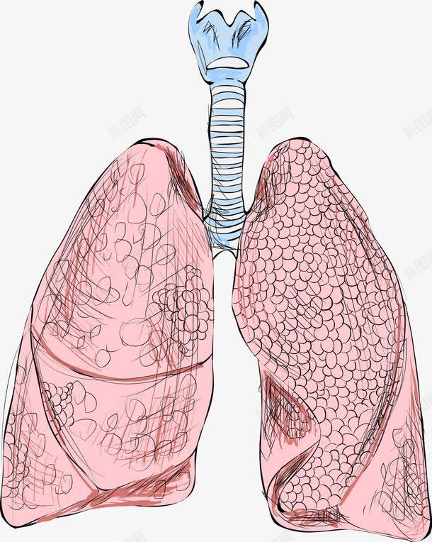 肝脏器官图标png_新图网 https://ixintu.com 五脏六腑 人体 人体五脏 人体内脏器官 人体器官 内脏 卡通人体器官图标 器官 心 肝脏 肺 胃