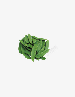 绿色的扁豆素材