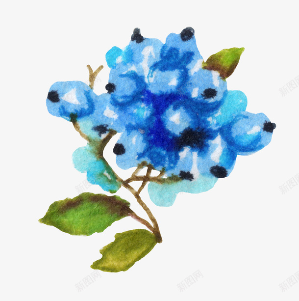 手绘蓝色的花朵图png免抠素材_新图网 https://ixintu.com 卡通手绘 唯美 小清新 植物 水彩 绿叶 花朵 蓝色 鲜花