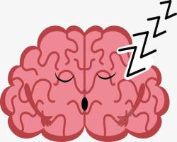 沉睡的大脑处于休息状态的大脑高清图片