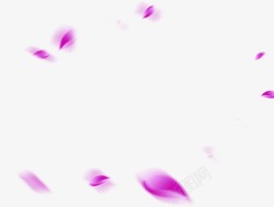 紫色花瓣飘零素材
