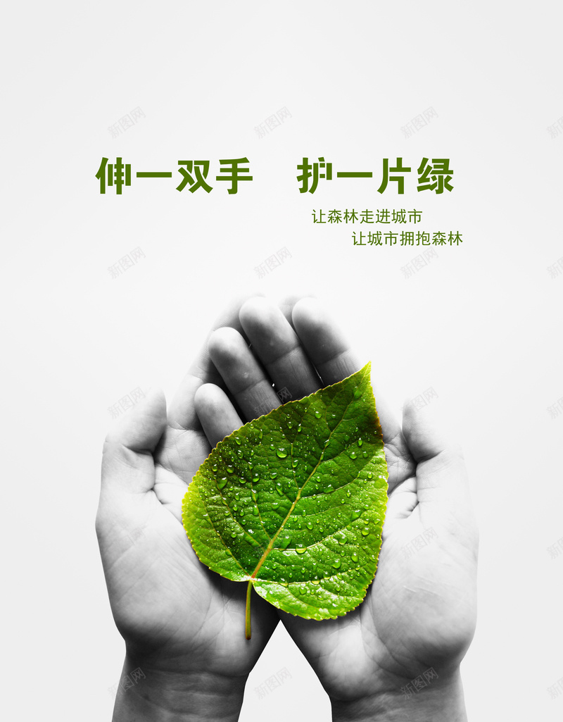 环保背景psd_新图网 https://ixintu.com 手掌 摄影 海报 环保 白色 绿叶 风景