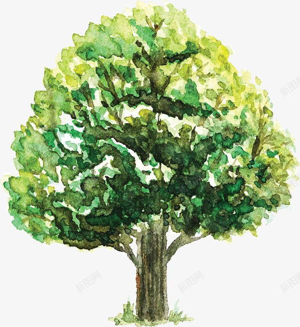 创意卡通树木手绘植物矢量图png图片免费下载 素材0qqawqquk 新图网 创意卡通树木手绘植物矢量图png图片免费下载 素材0qqawqquk 新图网
