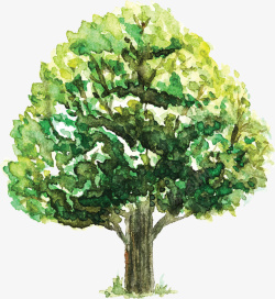 创意卡通树木手绘植物矢量图素材
