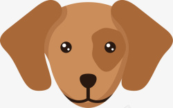 褐色狗头褐色斑点狗狗头高清图片