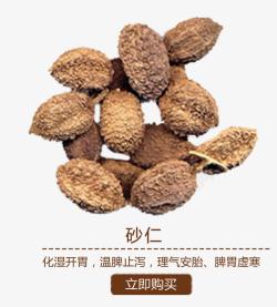 砂仁素材