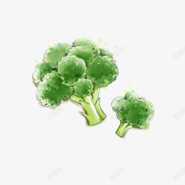 手绘的西兰花png免抠素材_新图网 https://ixintu.com png图形 png装饰 手绘 绿色 蔬菜 装饰 西兰花