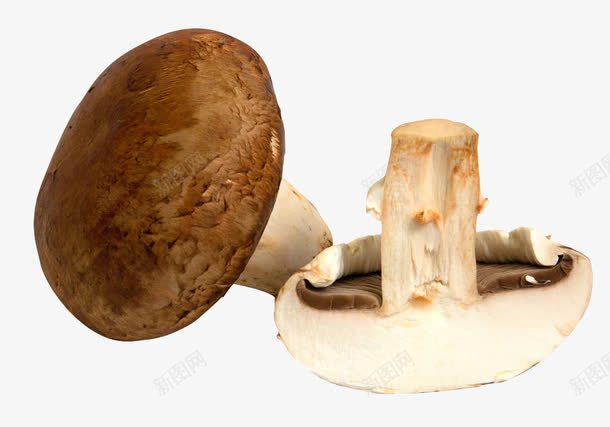 手绘棕色蘑菇png免抠素材_新图网 https://ixintu.com 手绘 棕色蘑菇 素食食材 菌类 菌菇手绘 蘑菇 食材 食物