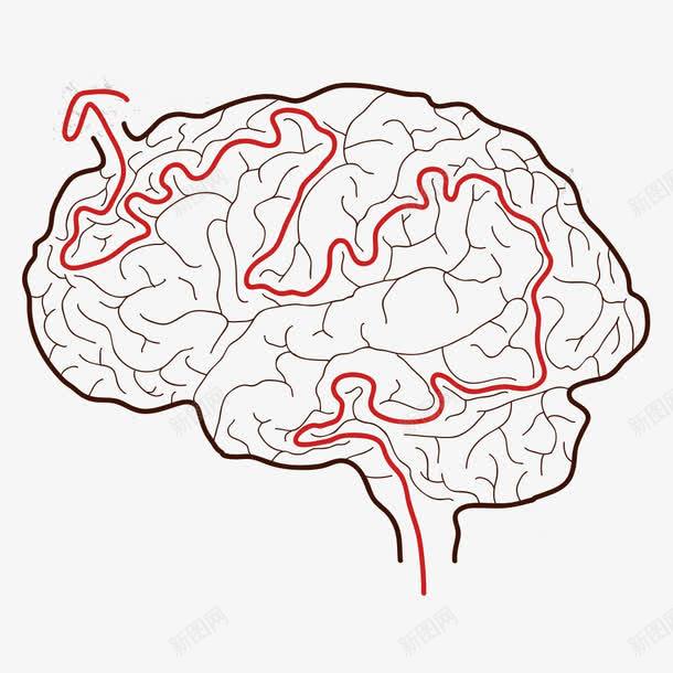 迷宫png免抠素材_新图网 https://ixintu.com 大脑 迷宫 迷宫元素 迷宫线路 迷路