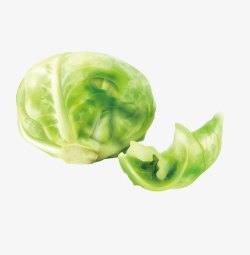矢量大圆包菜蔬菜大圆包菜高清图片
