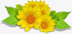 黄色花朵树叶植物素材