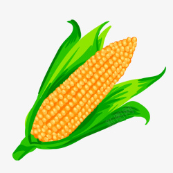 卡通植物玉米矢量图素材