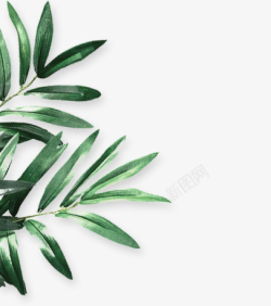 绿色树叶装饰框绿色装饰植物树叶高清图片
