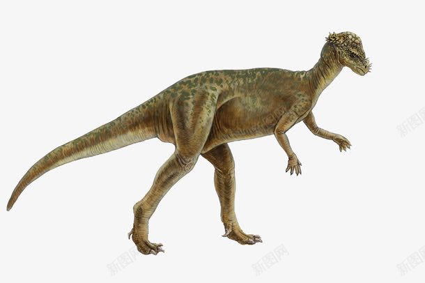 恐龙png免抠素材_新图网 https://ixintu.com 动物 白垩纪 远古