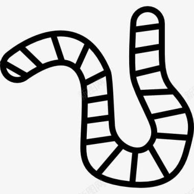 蠕虫轮廓内圆图标图标
