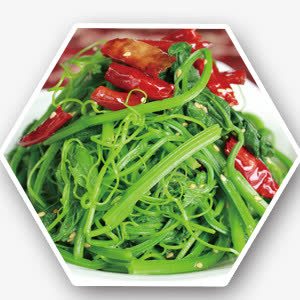 冷菜png免抠素材_新图网 https://ixintu.com 凉菜 炝拌丝瓜尖 绿色 蔬菜