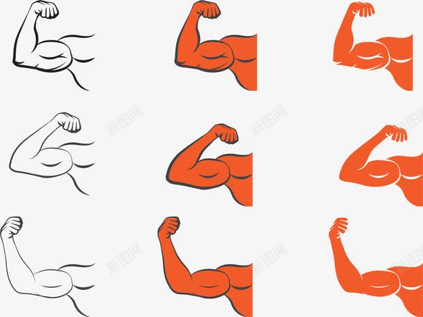 健身教练手臂png免抠素材_新图网 https://ixintu.com 上臂 健身 健身教练 减肥塑形 强壮 手肘 手臂 有力量 肌肉