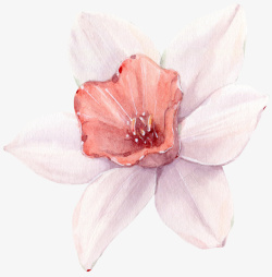 手绘粉色花朵图素材