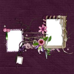 紫色背景下的花朵相框背景背景