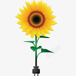 向日葵太阳花environmenticons图标png_新图网 https://ixintu.com flower sun sunflower 向日葵 太阳 花