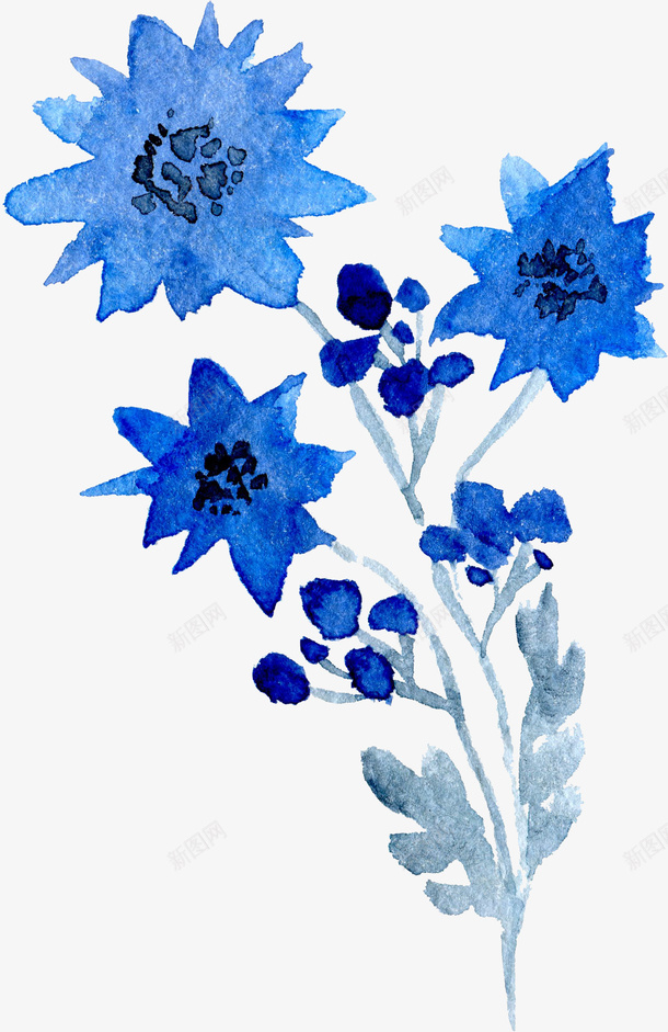 透明背景水彩花朵花卉植物png图片免费下载 素材0mqaqgwpq 新图网