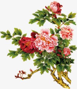 手绘中国风花朵海报装饰素材
