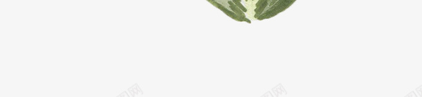 水彩手绘植物叶子png免抠素材_新图网 https://ixintu.com 叶子 手绘 树叶 植物 水彩 水彩手绘植物叶子