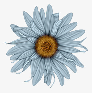 唯美抽象花朵png免抠素材_新图网 https://ixintu.com 创意花卉图片 卡通鲜花 背景素材 鲜花元素