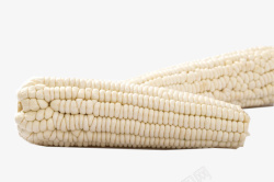 两根儿嫩白的大玉米棒两根白玉米大图高清图片