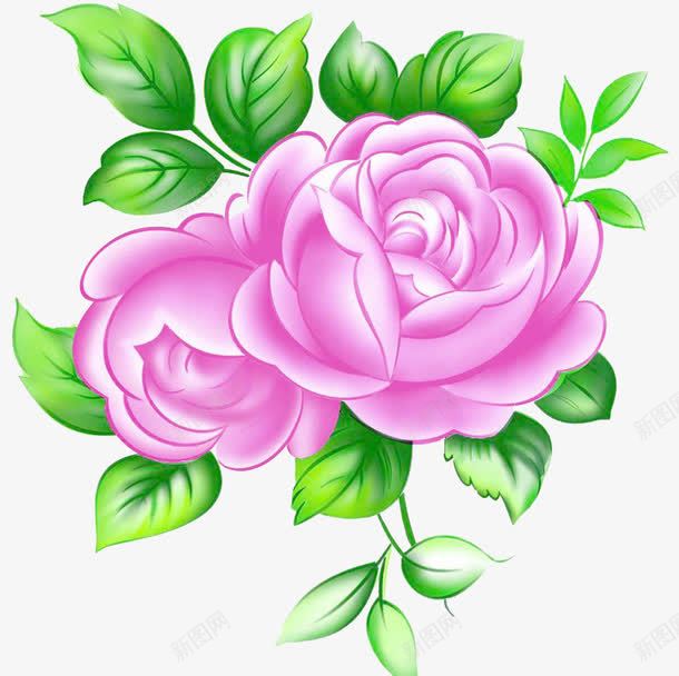 粉色玫瑰png免抠素材_新图网 https://ixintu.com 手绘玫瑰 玫瑰花 玫瑰花蕾 粉色玫瑰