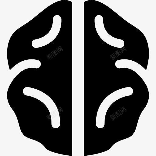 脑图标png_新图网 https://ixintu.com 医学 器官 神经系统 脑 解剖