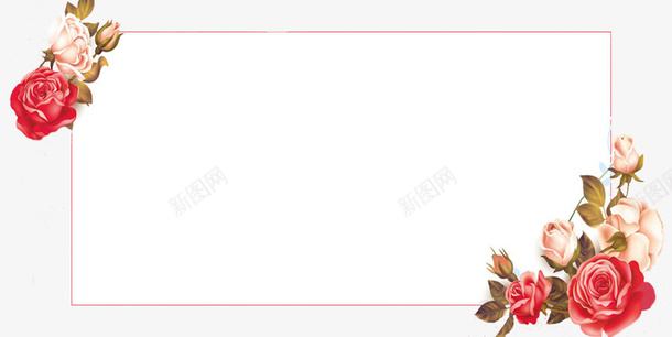 花卉植物边框手绘插画png免抠素材_新图网 https://ixintu.com 手绘 插画 花卉植物 边框