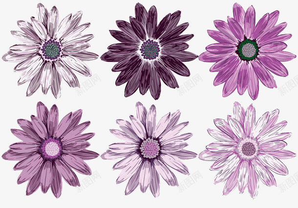 紫色的花瓣png免抠素材_新图网 https://ixintu.com 植物 紫色 花 花瓣 裱花