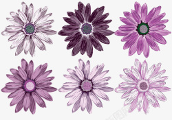 紫色的花瓣素材