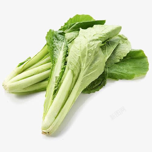 新鲜白菜png免抠素材_新图网 https://ixintu.com 小白菜 新鲜白菜 有机白菜 绿色白菜 蔬菜