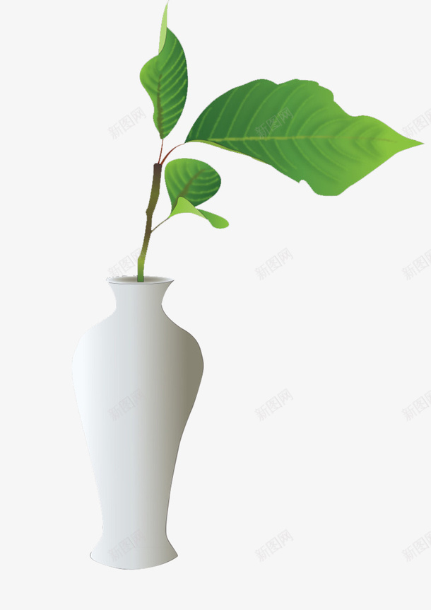 插在花瓶里的叶子psd免抠素材_新图网 https://ixintu.com 环境 瓶子 白色 绿色