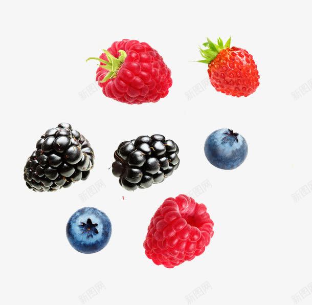水果矢量图eps免抠素材_新图网 https://ixintu.com 才没 树莓 蓝莓 黑莓 矢量图