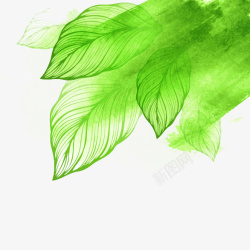 绿色水墨透明叶子素材