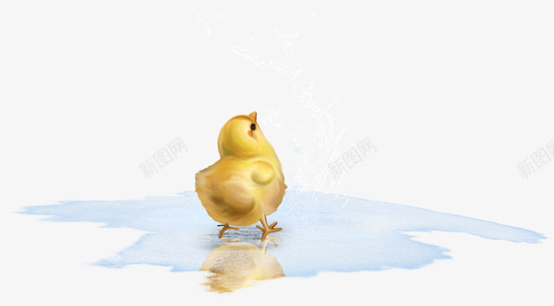 水中的雏鸡png免抠素材_新图网 https://ixintu.com 小鸡 水 简单 黄色