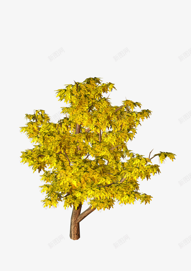黄树png免抠素材_新图网 https://ixintu.com 树 装饰 黄树