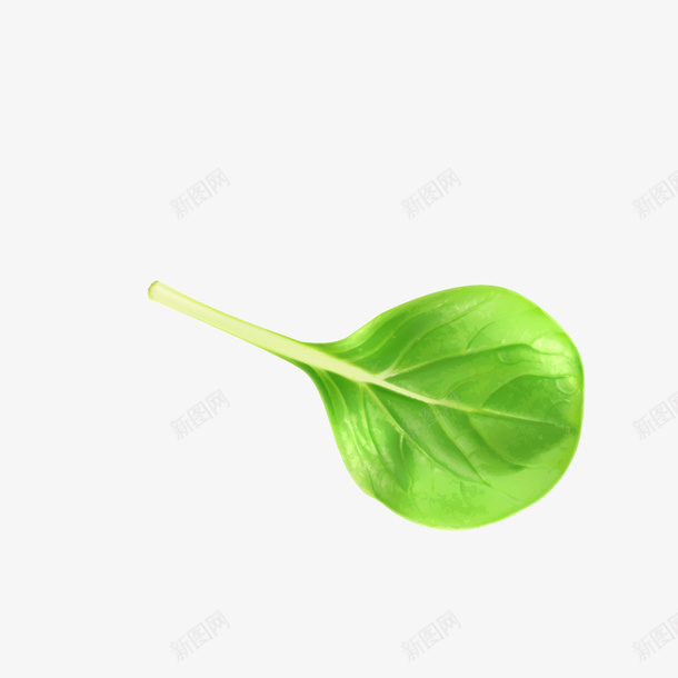 绿色蔬菜菜叶子矢量图ai免抠素材_新图网 https://ixintu.com 绿色 绿色蔬菜 菜叶子 蔬菜 矢量图