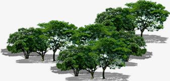 创意摄影绿色树林png免抠素材_新图网 https://ixintu.com 创意 摄影 树林 绿色